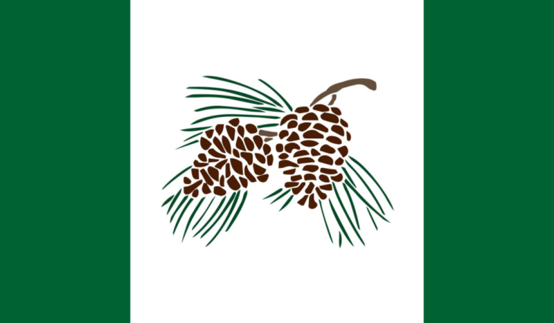 File:Flag of Pinelandia • Drapeau de Pinelandia.png