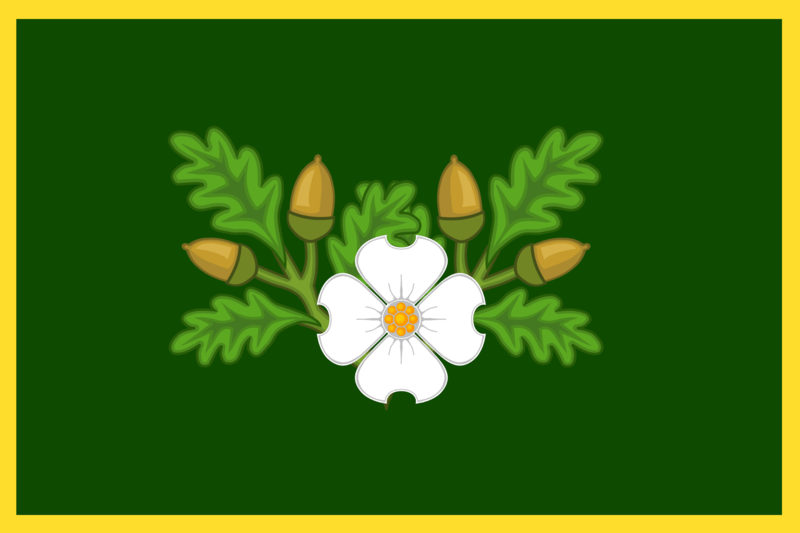 File:Flag of The Begonic Parliament.png