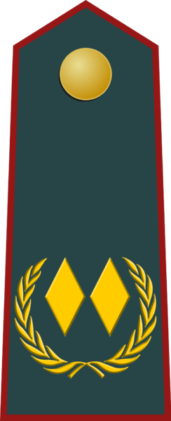 File:FKJNDF Lieutenant Colone.png