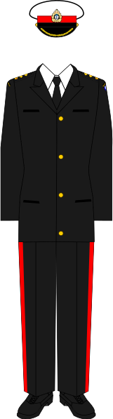 File:Uniform of a Colonel (Marines).svg