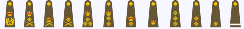 File:Insignia of Royal Army.png