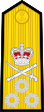 Vice Admiral (Vishwamitra) - Shoulder (OF-8).svg