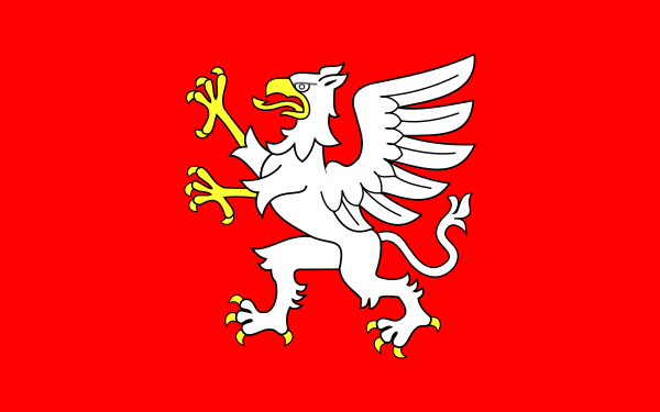 File:POL Dębica flag.svg