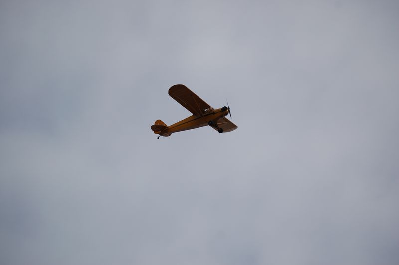 File:FAF Plane Piper Cub.jpg