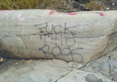 "Fuck this rock"