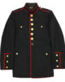 The official uniform of the Commander-General, currently Silas W. It was formerly a USMC dress uniform.