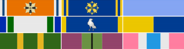 Ribbon Rack of Connor I