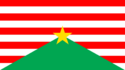 Flag of Dictatorship of Delsupremia
