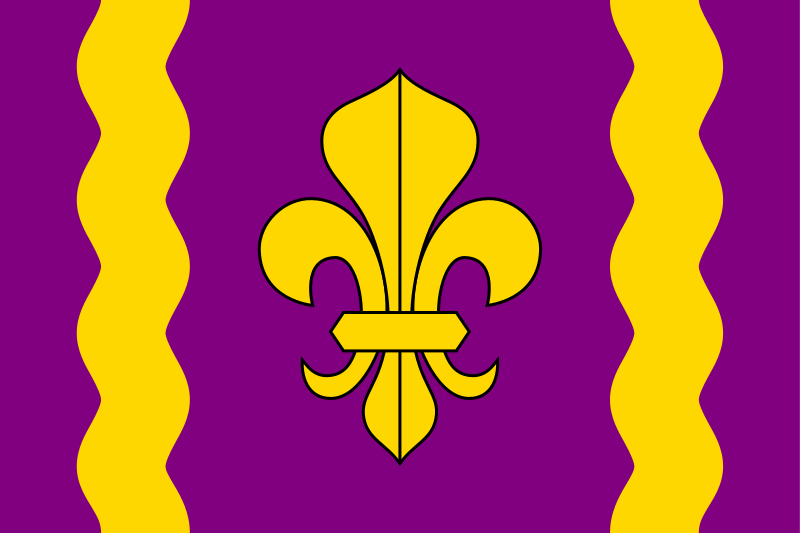 File:Flag of Francophone Sayvillians.svg