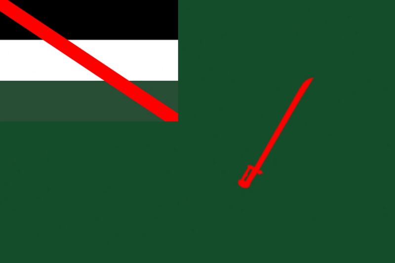 File:Flag of the Kizylkan Ground Forces.jpeg