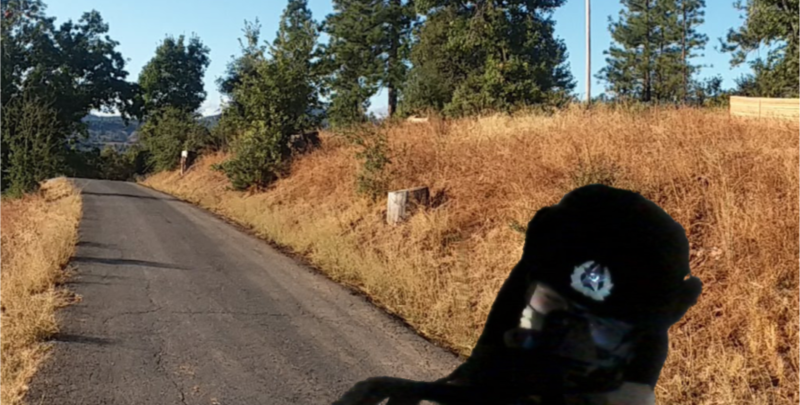File:Unidentified Ponderosan soldier edited onto a road in Ponderosa Hills.png
